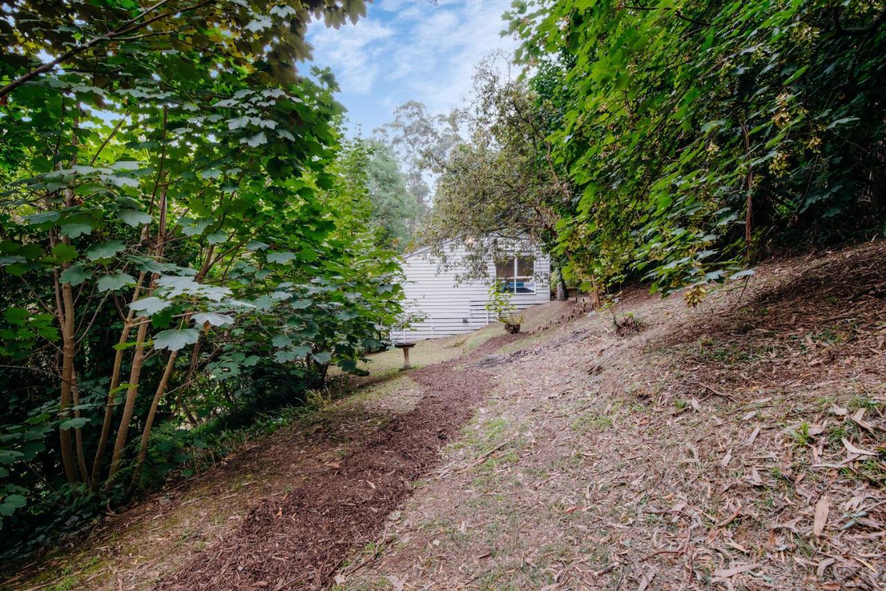 Villa Steep Creek Retreat à Belgrave Extérieur photo